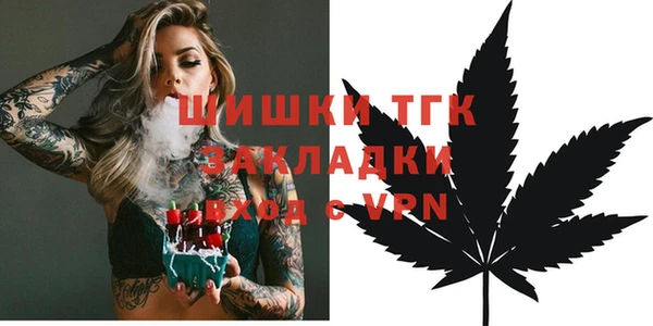 твердый Богородицк