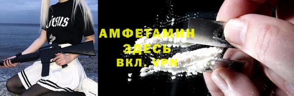 прущие грибы Няндома