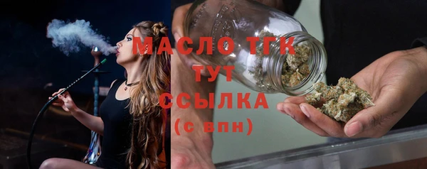 твердый Богородицк