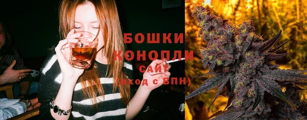 твердый Богородицк