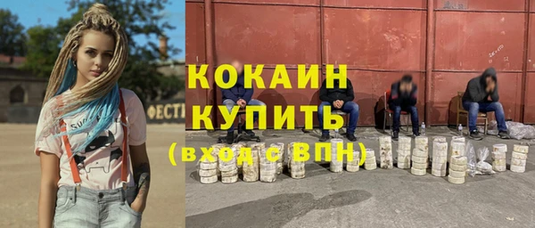 твердый Богородицк