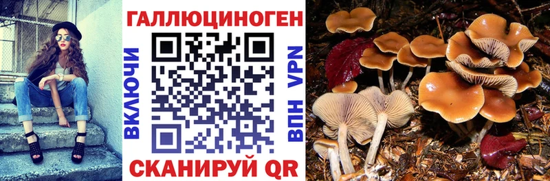 Псилоцибиновые грибы мухоморы  Купить где  Белогорск 
